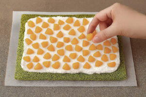 13：レシピ用の写真：平面の抹茶カステラにクリ